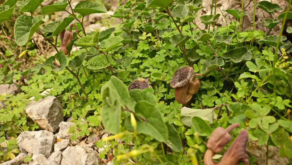 Kreta mit Marina Novikova – Von der Ostküste zum Ida-Gebirge