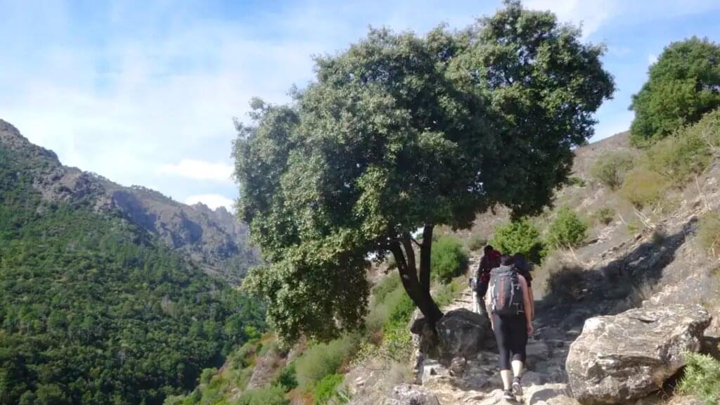 Korsika – Zentrale Bergwelt und Nordküste