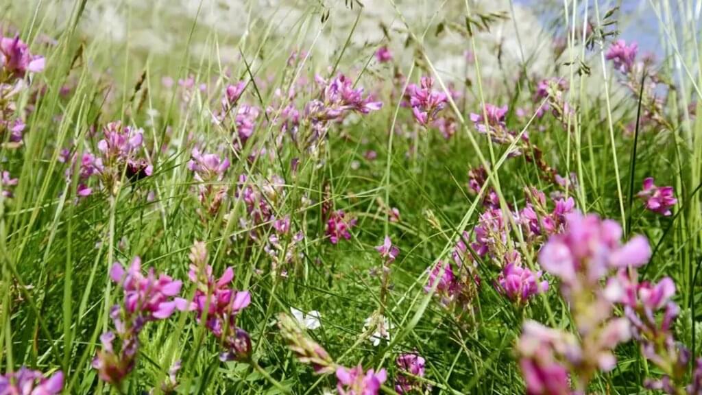Spanien - Schroffe Spitzen, tiefe Täler, Panorama pur (Selfguided)