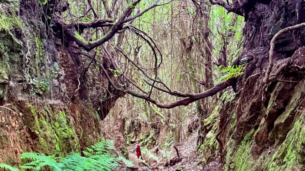 La Palma - La Isla Bonita