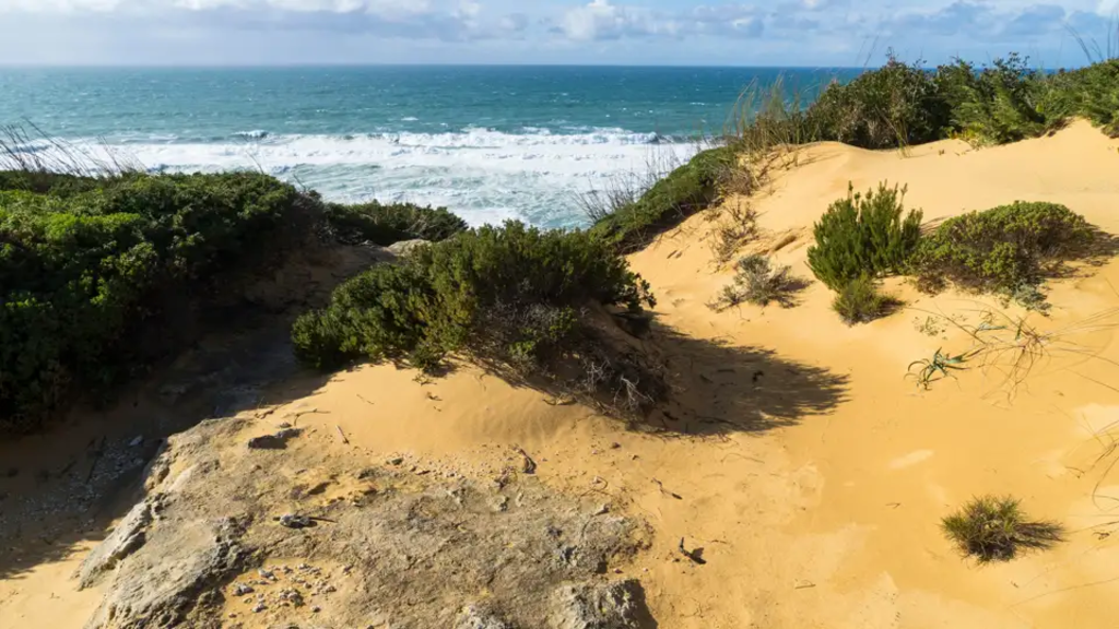 Portugal - Fischerpfade und Atlantikbrise (Selfguided)