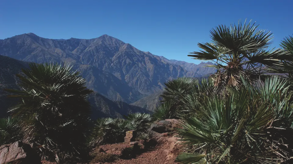 Marokko – Aufstieg zum höchsten Berg Nordafrikas