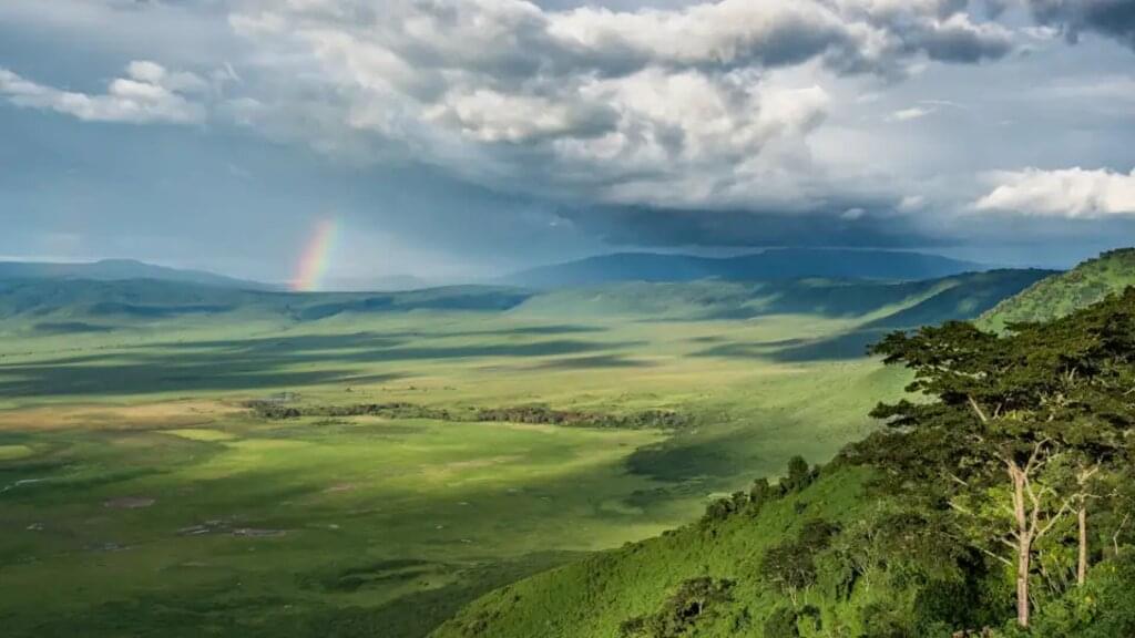Tansania - Safari kompakt (Reiseverlängerung)