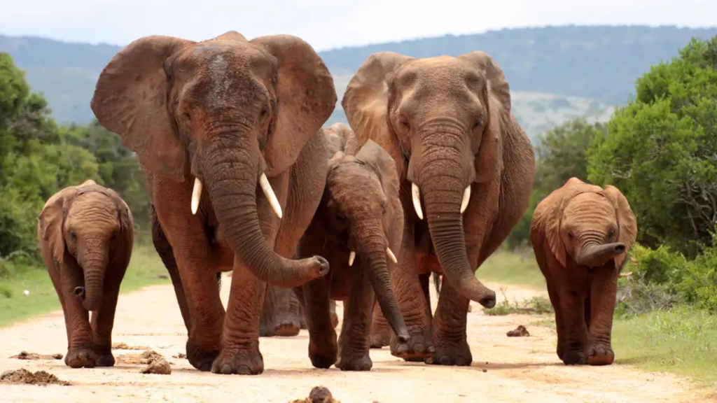 Südafrika – Wanderreise entlang der Garden Route