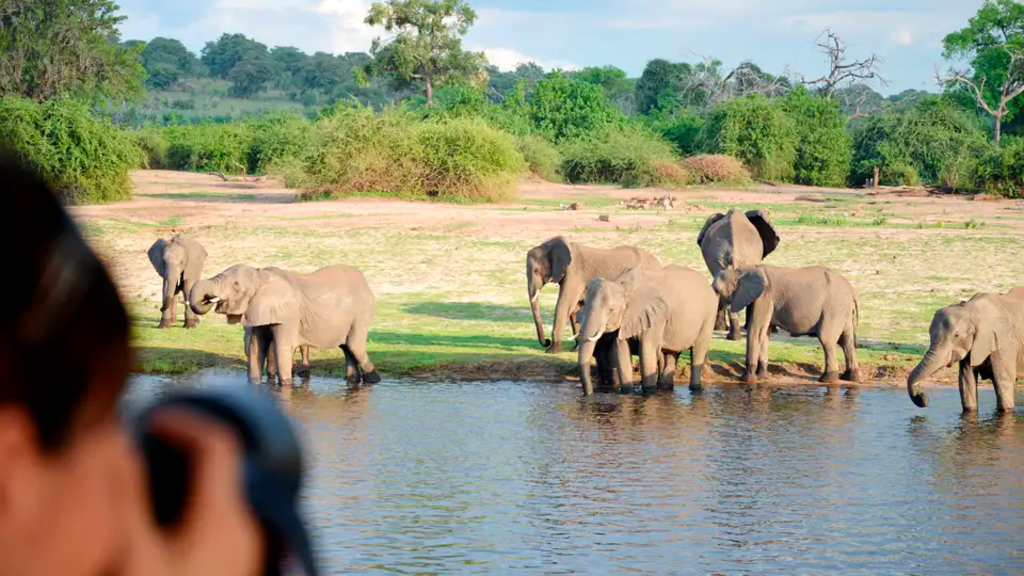 Botswana mit Egmont Strigl – Das grüne Herz der Kalahari