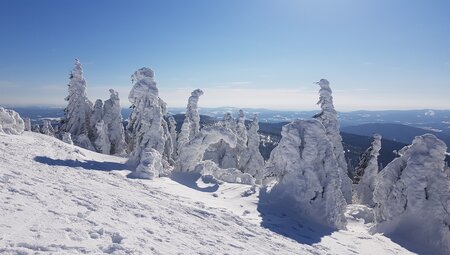 Winterzauber im Bayerischen Wald