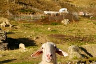 © Fabienne Reiseimpression von Fabienne