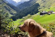 © Susann Reiseimpression von Susann