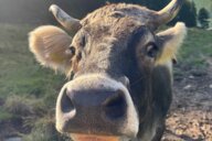 Reiseimpression von Catrin 