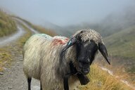 Reiseimpression von Catrin 