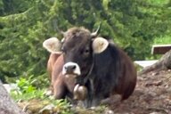 Reiseimpression von Tilo
