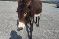 Reiseimpression von Alexandra Gerda