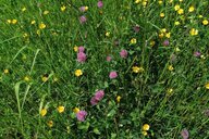 Reiseimpression von Bärbel