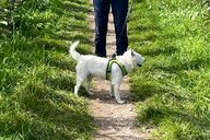 © Michaela Reiseimpression von Michaela