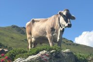 Reiseimpression von Johannes