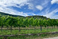 Reiseimpression von Ingrid