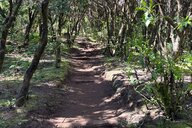 Reiseimpression von Simone