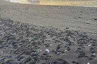 Reiseimpression von Simone