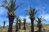 Reiseimpression von Martina