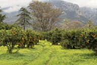 Reiseimpression von Lars