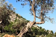 Reiseimpression von Alexandra