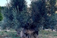 Reiseimpression von Alexandra