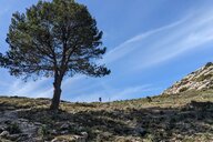 Reiseimpression von Fred Felix Fridolin 