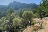 Reiseimpression von Gabriele Elisabeth