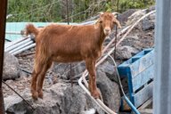 Reiseimpression von Stefan