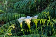 Reiseimpression von Antje