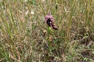 Reiseimpression von Klaus