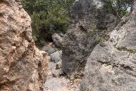 Reiseimpression von Viola