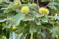 Reiseimpression von Jens