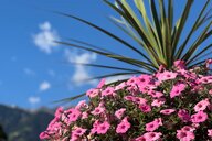 Reiseimpression von Torsten