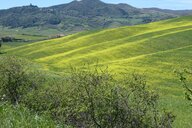 Reiseimpression von Heinz