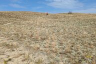 © Alexander Reiseimpression von Alexander