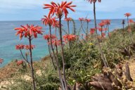 Reiseimpression von Robert 