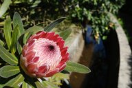 © Uwe Reiseimpression von Uwe