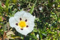 Reiseimpression von Jutta Sabine