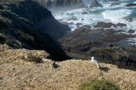 Reiseimpression von Jutta Sabine