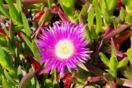 Reiseimpression von Roland Johann