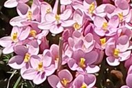 Reiseimpression von Roland Johann