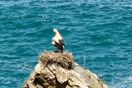 Reiseimpression von Susann