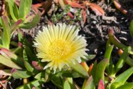 Reiseimpression von Michael Karl