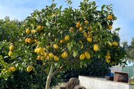 Reiseimpression von Michael Karl