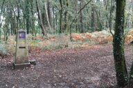 Reiseimpression von Sylvia