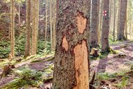 Reiseimpression von Alexandra