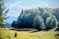 Reiseimpression von Alexandra