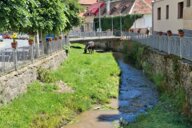 Reiseimpression von Hannelore