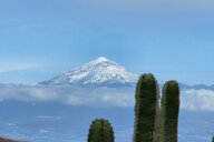 Reiseimpression von Thomas M.